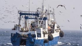 В России построят 105 крупнотоннажных рыбопромысловых судов